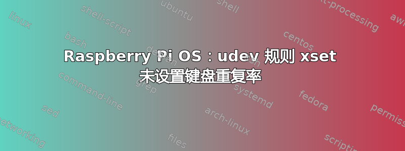 Raspberry Pi OS：udev 规则 xset 未设置键盘重复率