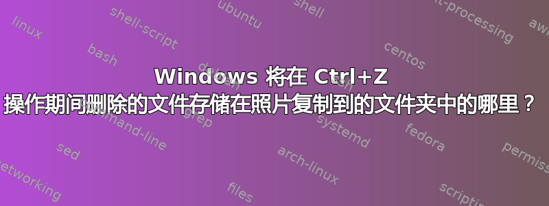 Windows 将在 Ctrl+Z 操作期间删除的文件存储在照片复制到的文件夹中的哪里？