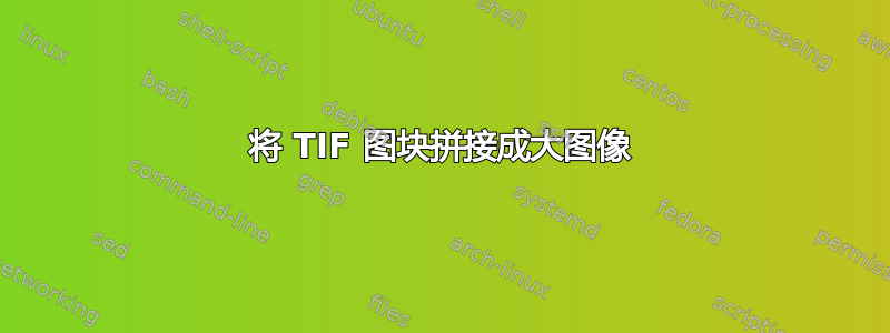 将 TIF 图块拼接成大图像