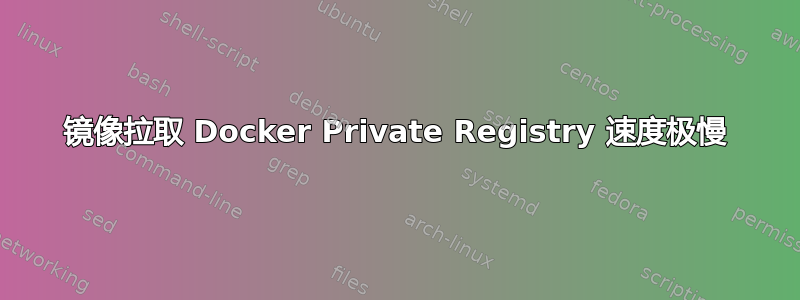 镜像拉取 Docker Private Registry 速度极慢