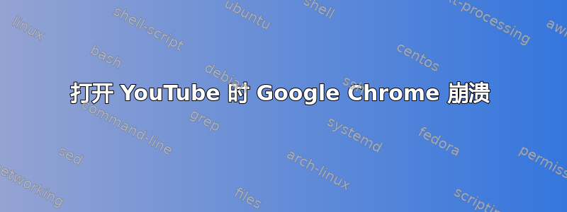 打开 YouTube 时 Google Chrome 崩溃