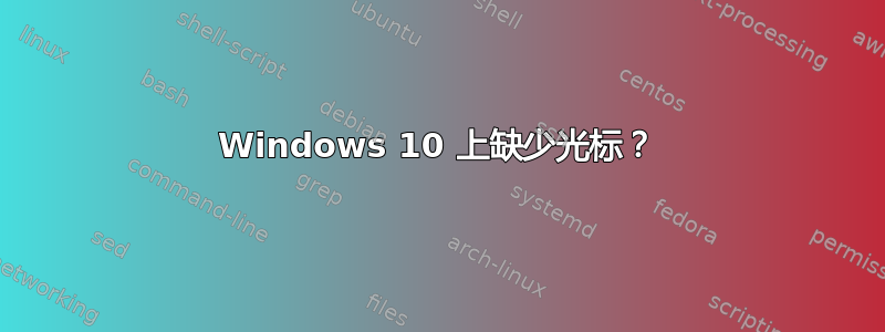 Windows 10 上缺少光标？