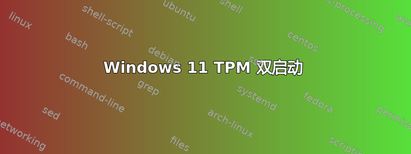 Windows 11 TPM 双启动