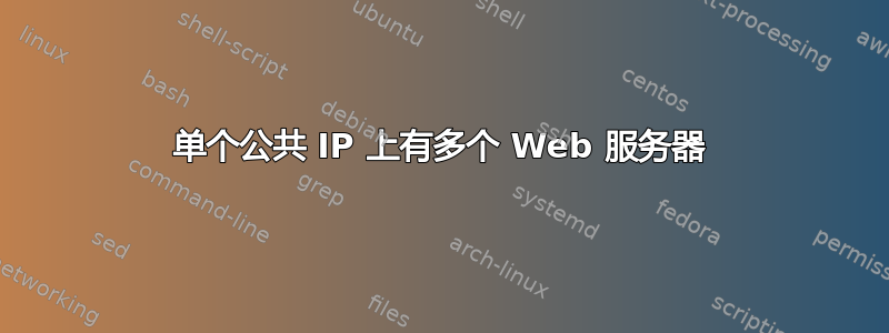 单个公共 IP 上有多个 Web 服务器