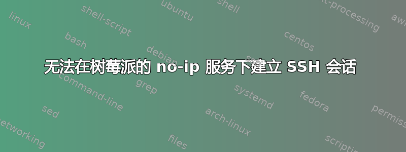 无法在树莓派的 no-ip 服务下建立 SSH 会话