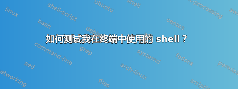 如何测试我在终端中使用的 shell？