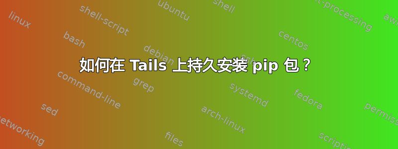 如何在 Tails 上持久安装 pip 包？