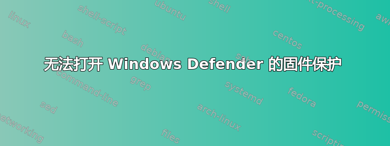 无法打开 Windows Defender 的固件保护