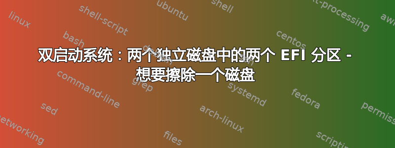 双启动系统：两个独立磁盘中的两个 EFI 分区 - 想要擦除一个磁盘