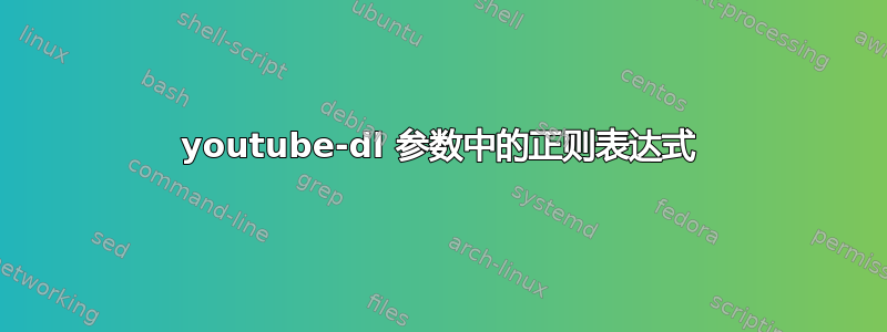 youtube-dl 参数中的正则表达式