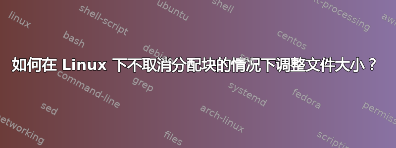 如何在 Linux 下不取消分配块的情况下调整文件大小？