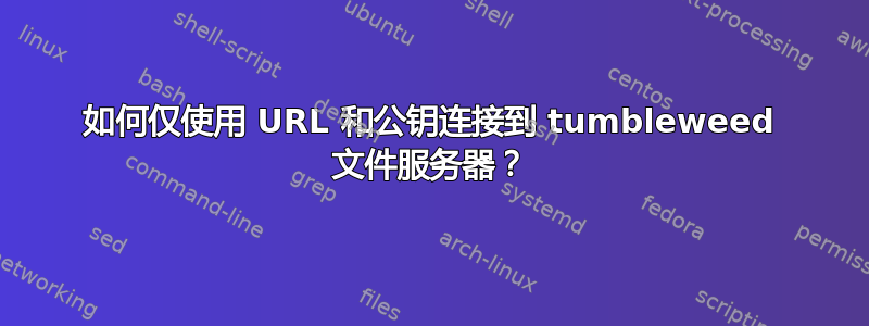 如何仅使用 URL 和公钥连接到 tumbleweed 文件服务器？