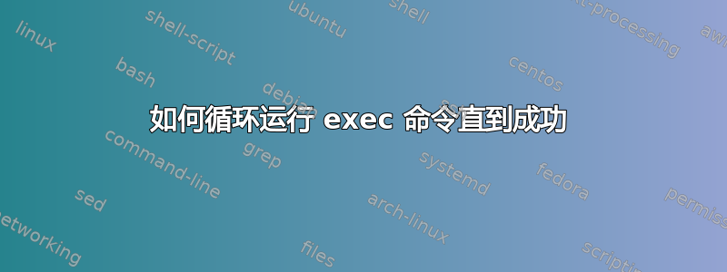 如何循环运行 exec 命令直到成功