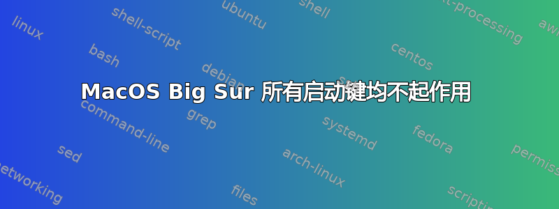 MacOS Big Sur 所有启动键均不起作用