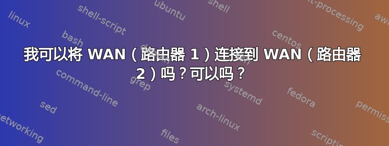 我可以将 WAN（路由器 1）连接到 WAN（路由器 2）吗？可以吗？