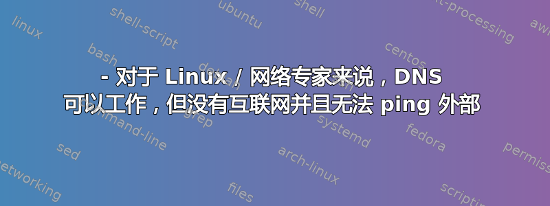 - 对于 Linux / 网络专家来说，DNS 可以工作，但没有互联网并且无法 ping 外部