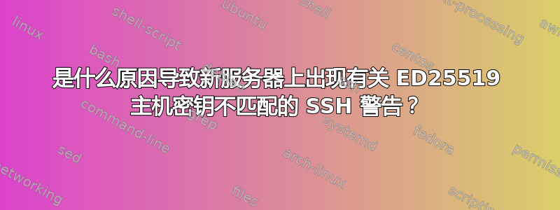 是什么原因导致新服务器上出现有关 ED25519 主机密钥不匹配的 SSH 警告？