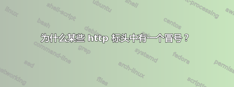 为什么某些 http 标头中有一个冒号？