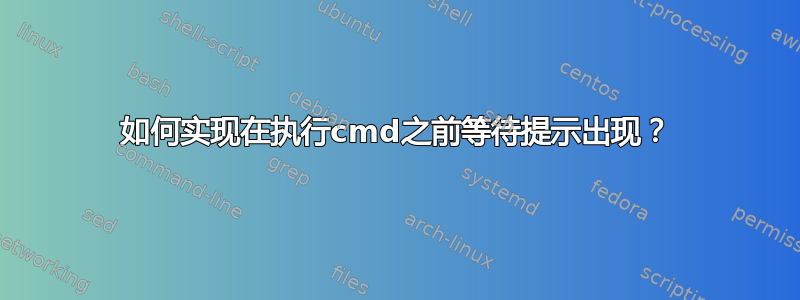 如何实现在执行cmd之前等待提示出现？