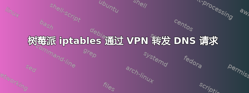 树莓派 iptables 通过 VPN 转发 DNS 请求