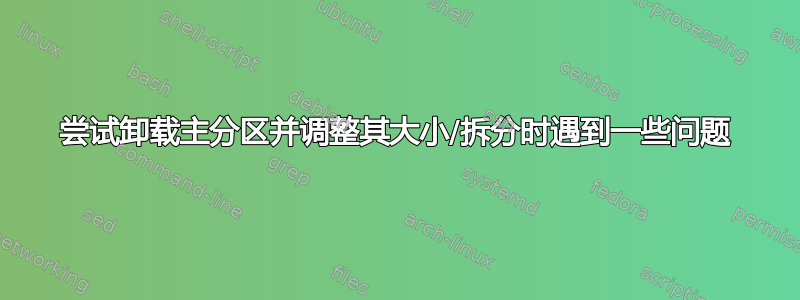 尝试卸载主分区并调整其大小/拆分时遇到一些问题