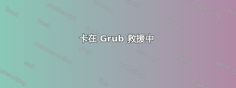 卡在 Grub 救援中