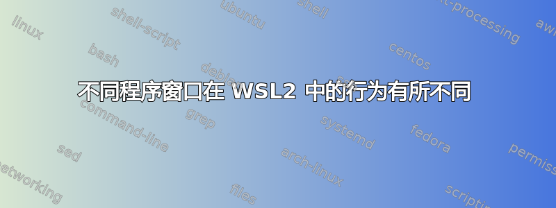 不同程序窗口在 WSL2 中的行为有所不同