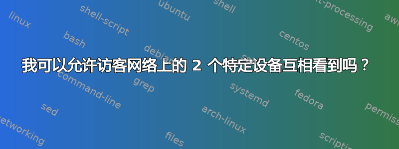 我可以允许访客网络上的 2 个特定设备互相看到吗？