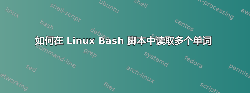 如何在 Linux Bash 脚本中读取多个单词