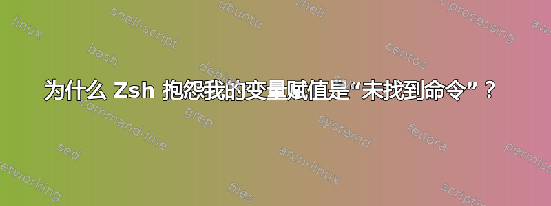 为什么 Zsh 抱怨我的变量赋值是“未找到命令”？