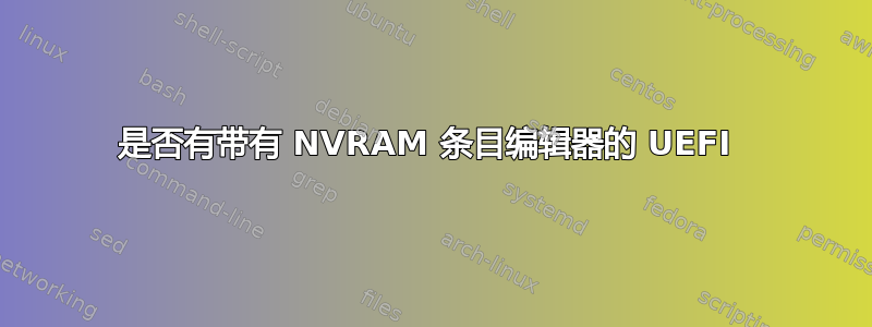 是否有带有 NVRAM 条目编辑器的 UEFI 