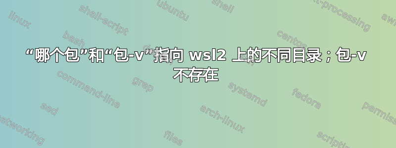 “哪个包”和“包-v”指向 wsl2 上的不同目录；包-v 不存在