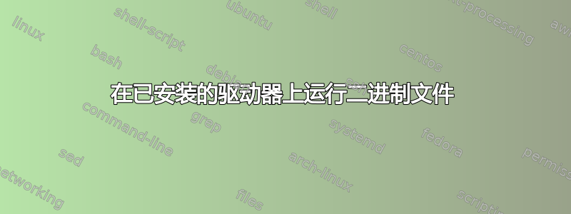 在已安装的驱动器上运行二进制文件