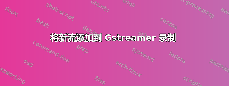 将新流添加到 Gstreamer 录制