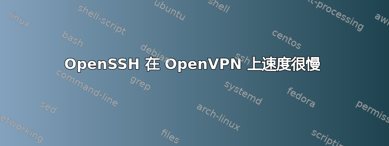 OpenSSH 在 OpenVPN 上速度很慢