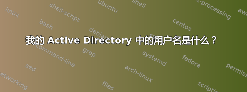 我的 Active Directory 中的用户名是什么？