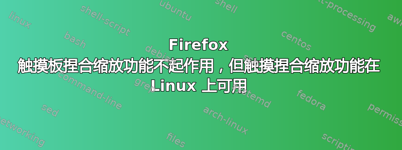 Firefox 触摸板捏合缩放功能不起作用，但触摸捏合缩放功能在 Linux 上可用