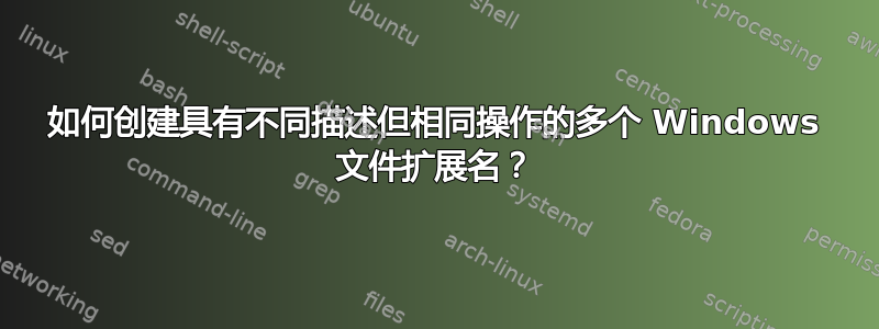 如何创建具有不同描述但相同操作的多个 Windows 文件扩展名？