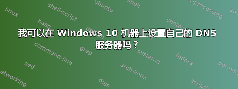 我可以在 Windows 10 机器上设置自己的 DNS 服务器吗？