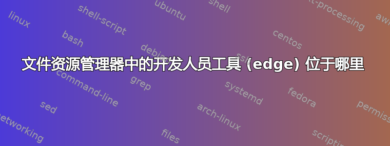 文件资源管理器中的开发人员工具 (edge) 位于哪里