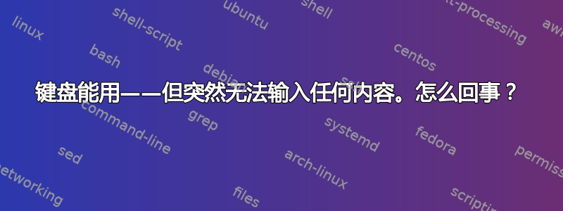 键盘能用——但突然无法输入任何内容。怎么回事？