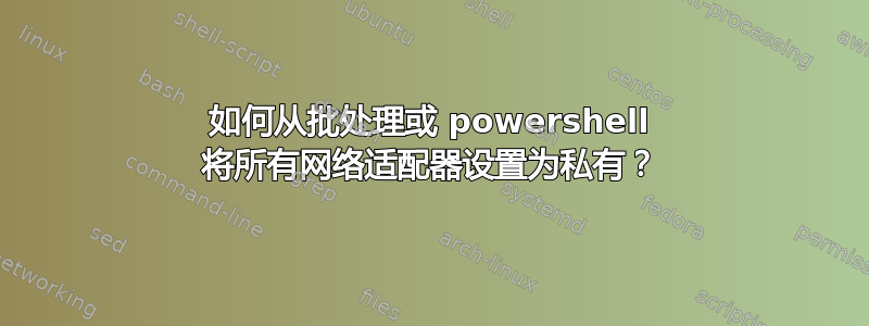 如何从批处理或 powershell 将所有网络适配器设置为私有？