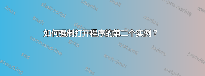 如何强制打开程序的第二个实例？