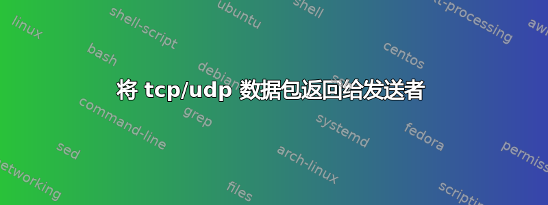 将 tcp/udp 数据包返回给发送者