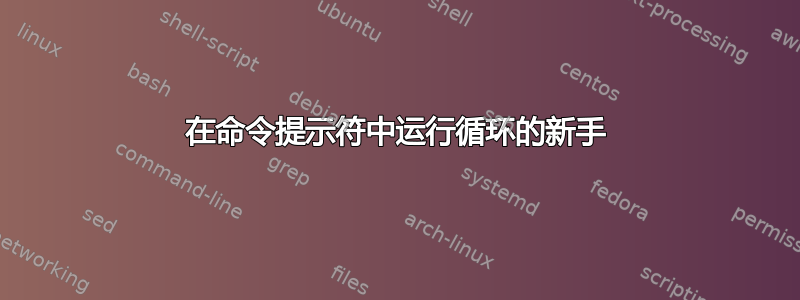 在命令提示符中运行循环的新手