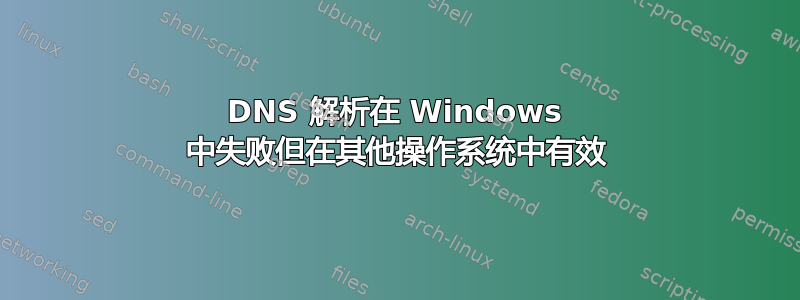 DNS 解析在 Windows 中失败但在其他操作系统中有效