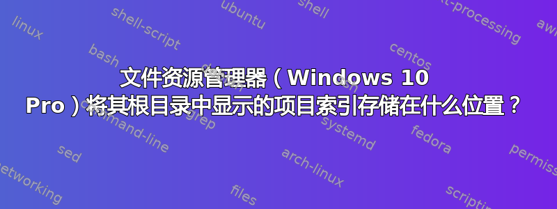 文件资源管理器（Windows 10 Pro）将其根目录中显示的项目索引存储在什么位置？