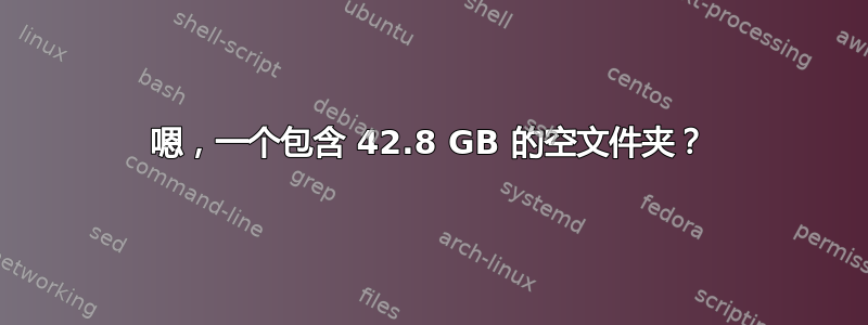 嗯，一个包含 42.8 GB 的空文件夹？