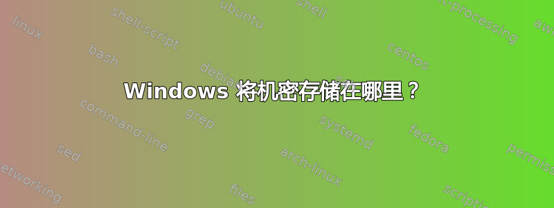 Windows 将机密存储在哪里？