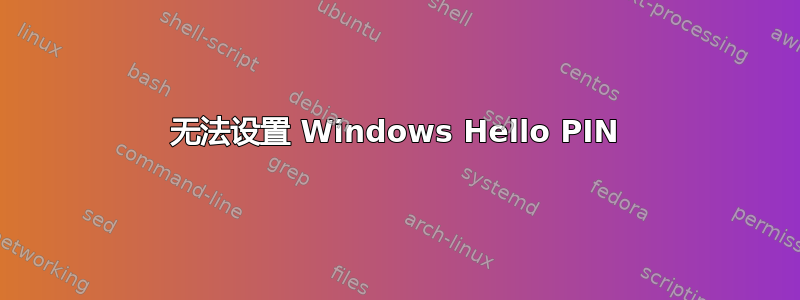 无法设置 Windows Hello PIN